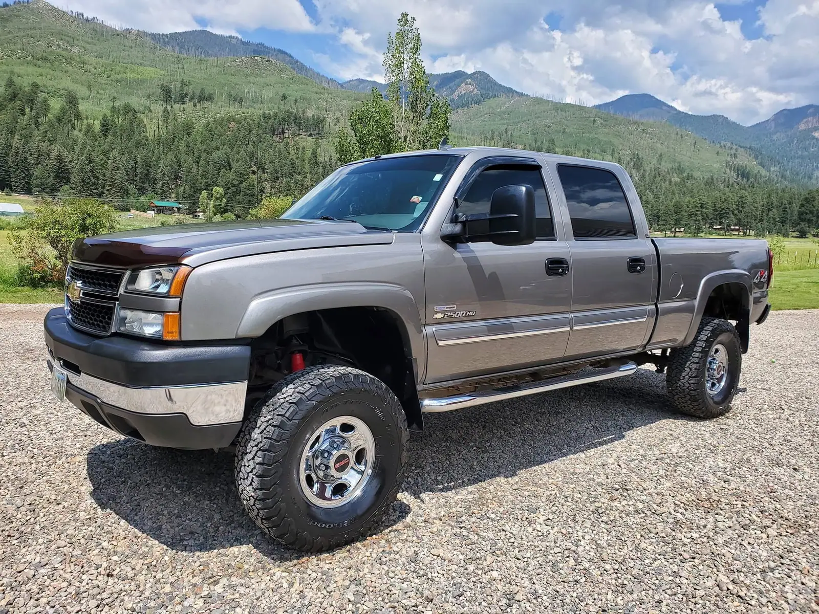 Silver lifted Chevy Silverado HD detailed in a mountain meadow